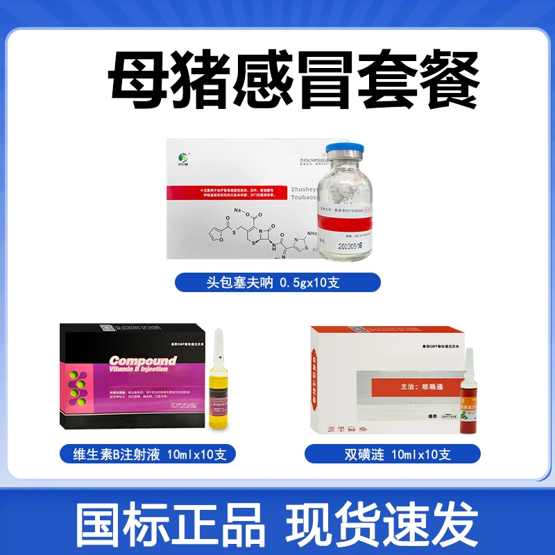 养殖场通用猪感冒套餐组合温和卫生大小猪牛羊狗通用