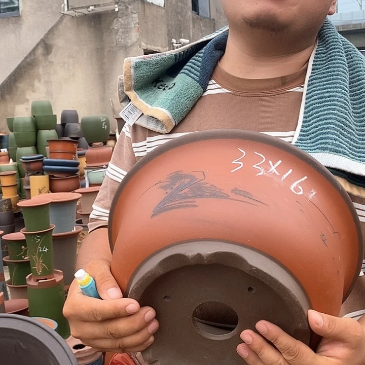 紫砂花瓶紫砂花盆盆栽植物种植