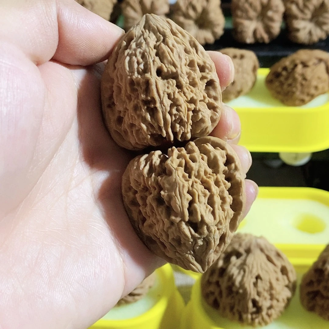 傲***少木质类今天是不是又