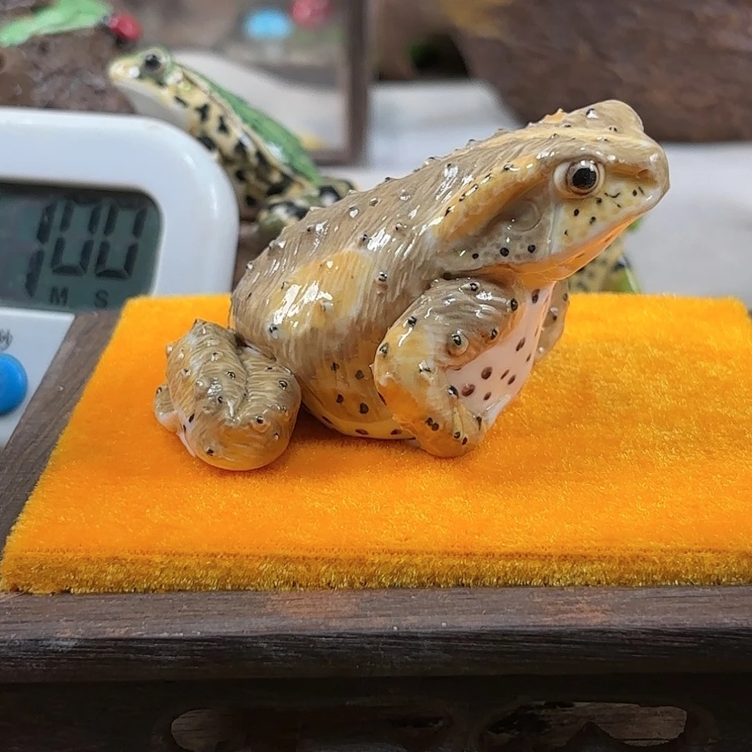 杯ꪜ***¹祝老师作品欣赏