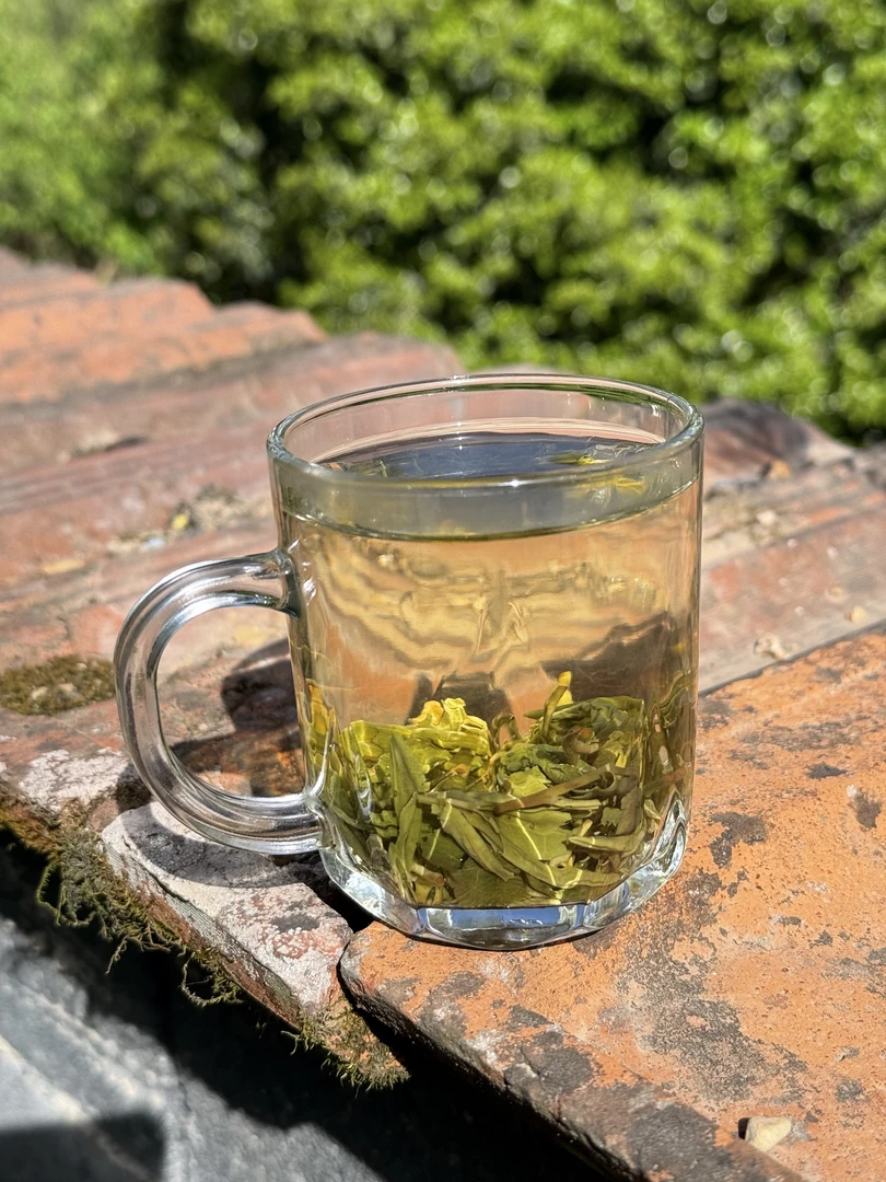 【荒野茶】安吉报福深山荒野茶浓香炒青香茶白茶安吉白茶官方正品