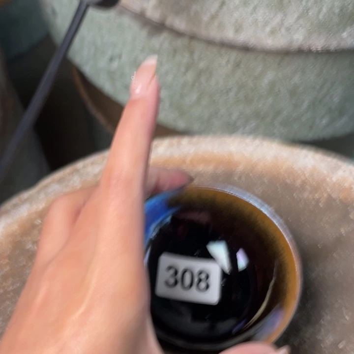 茶盏知音茶盏主人杯308