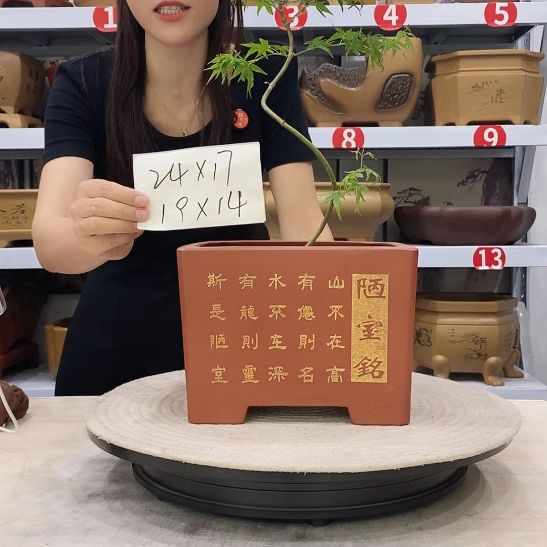 紫砂花盆紫砂花盆
