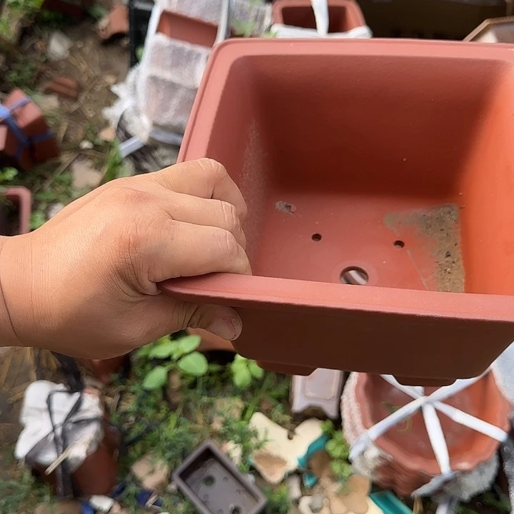 一哈打个电我在楼下吃