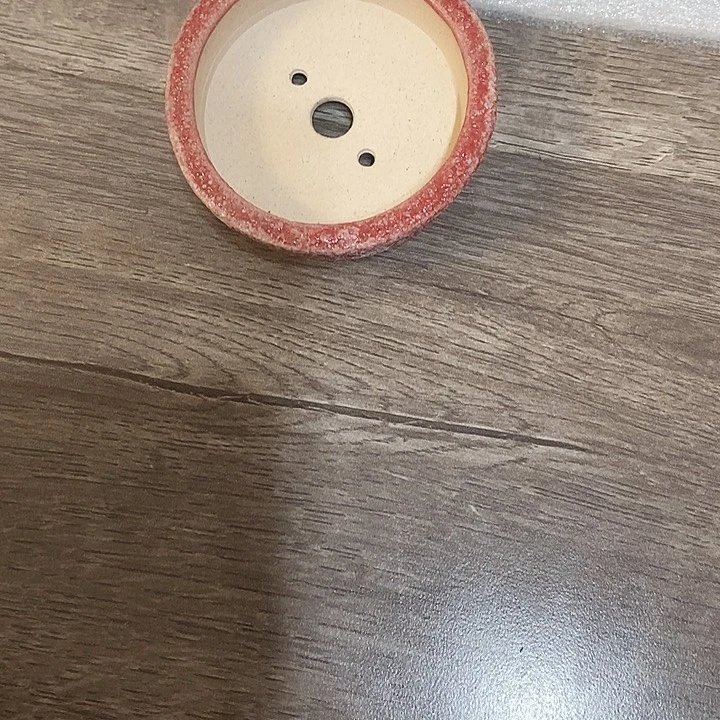 N***o无花朵855886355555
