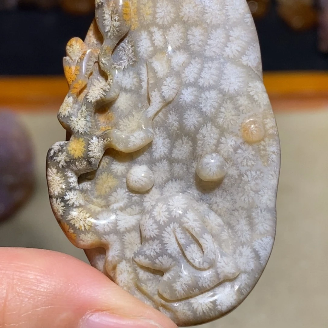 【闪购商品】硅化玉珊瑚玉未镶嵌