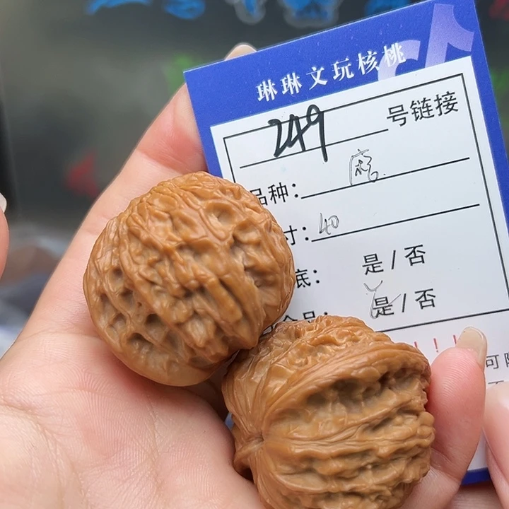 文玩核桃吊坠核桃树249