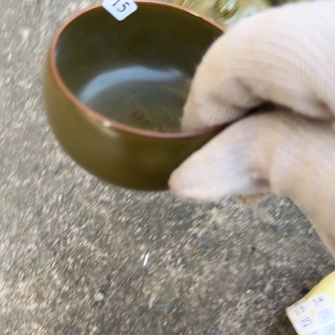 杯子333333334444444