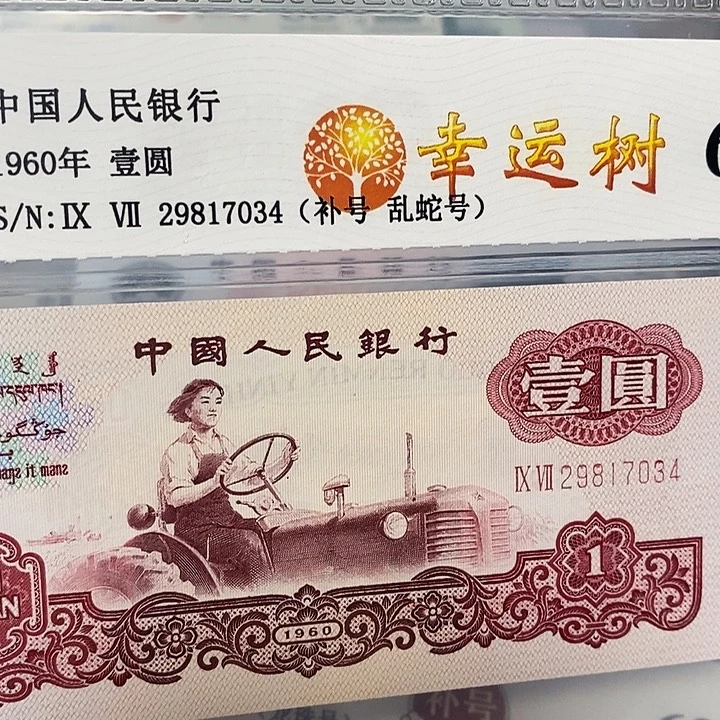 补号29817034，，，，，，，