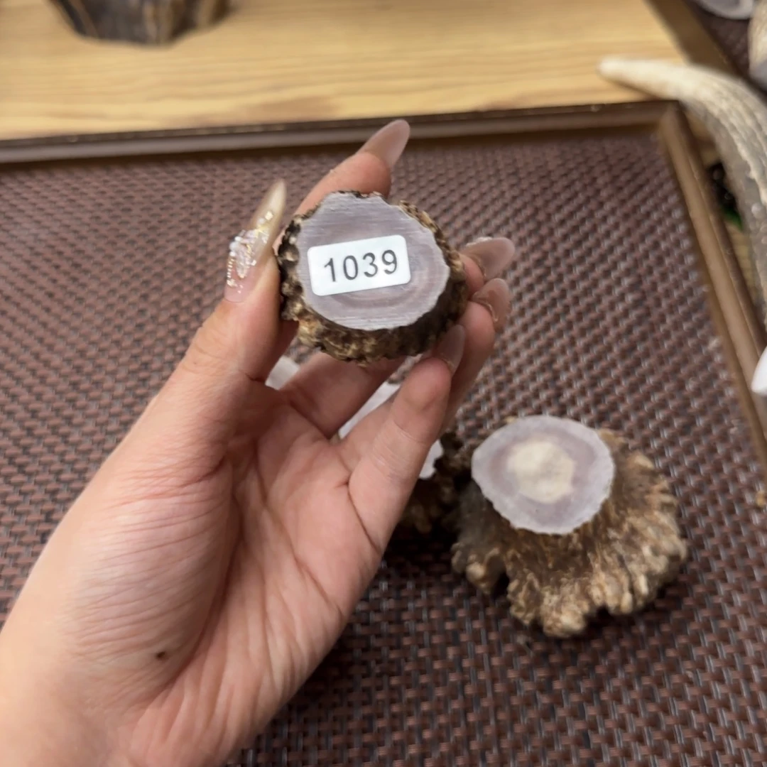 鹿骨其他1039角帽