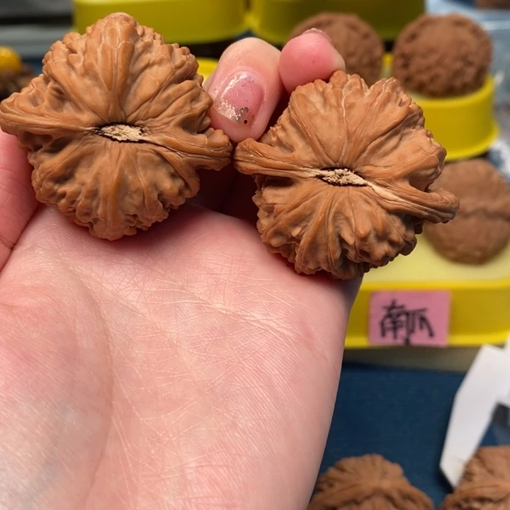 @***军手串/手链核桃白狮