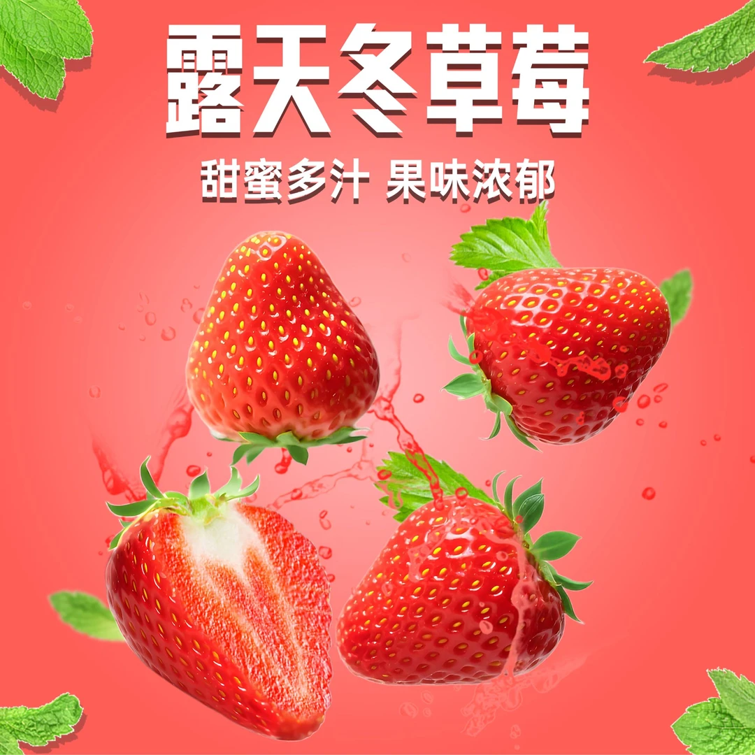 【川航优选自营】四川攀枝花·露天阳光冬草莓三斤礼盒新鲜顺丰空运