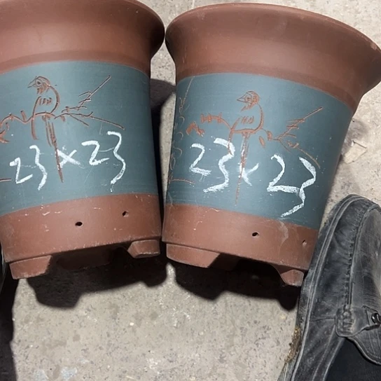 紫砂的感觉就是这么好看我真的