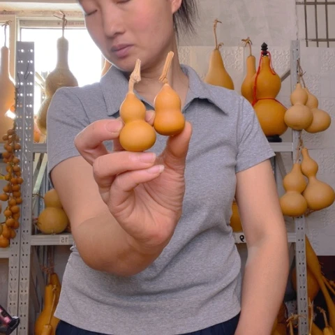 舒*天然植物葫芦文玩