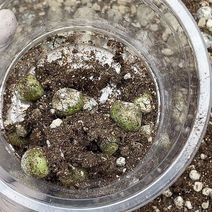 400啦啦啦啦啦啦弄了