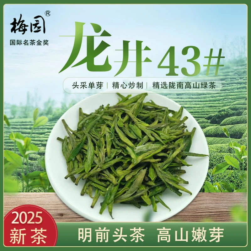 2025新茶龙井43号明前陇南绿茶
