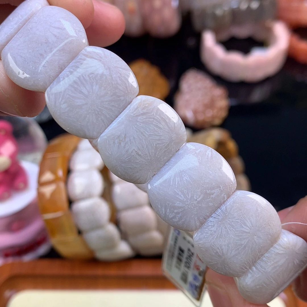 【闪购商品】颈饰未镶嵌硅化珊瑚（珊瑚玉）25号烟灰紫烟花
