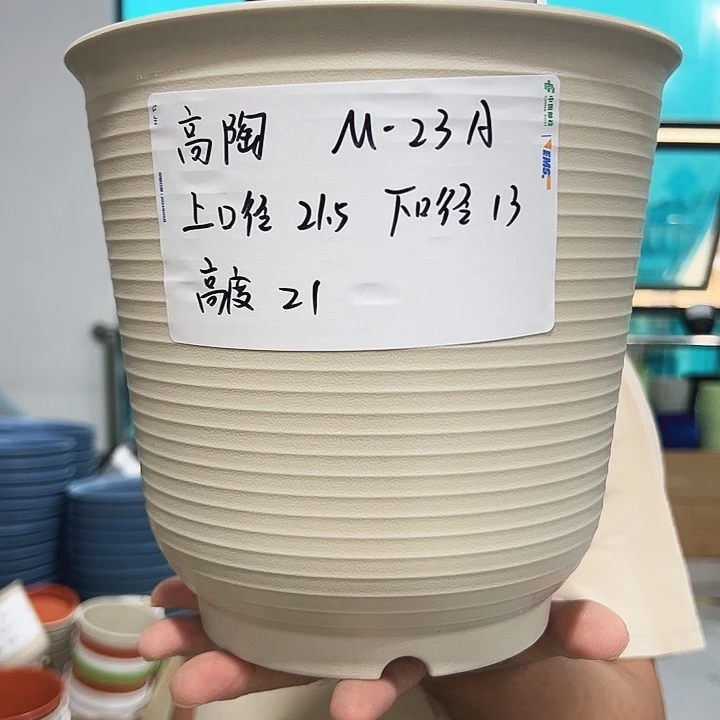正品高陶口21高21混色无托6个