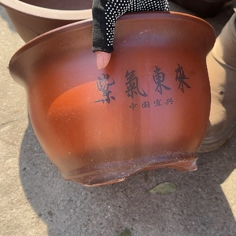 紫砂紫气东来25花盆