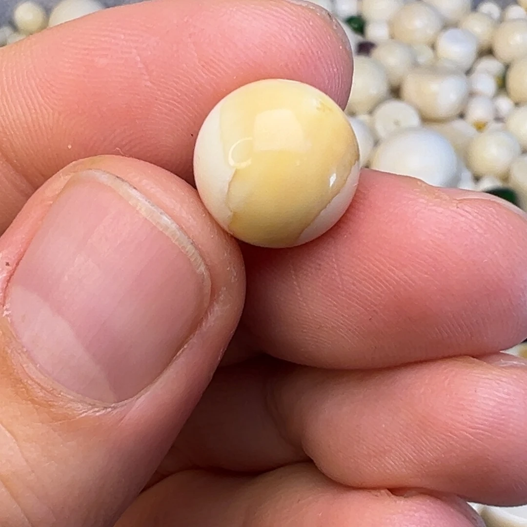 尼***四树脂制品海胖臼齿12圆珠
