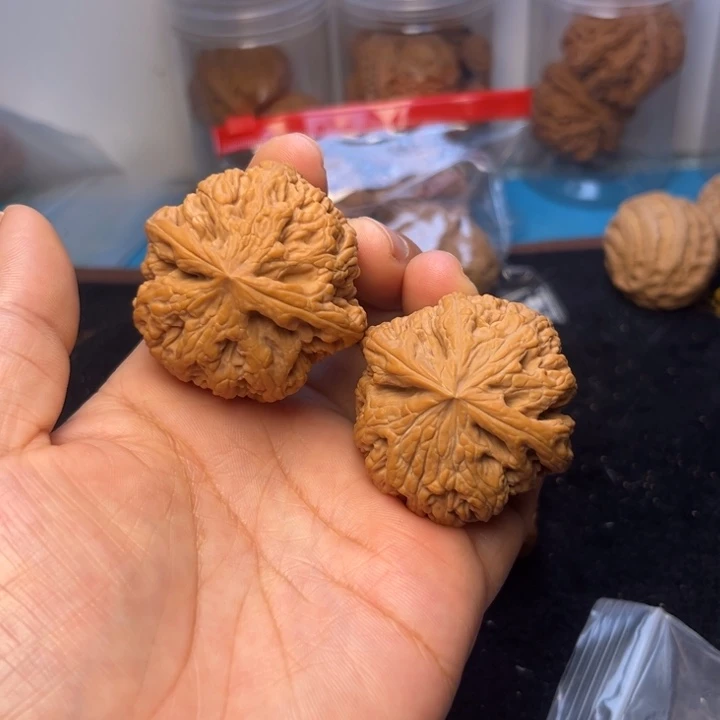 核桃44尺粗筋师子头