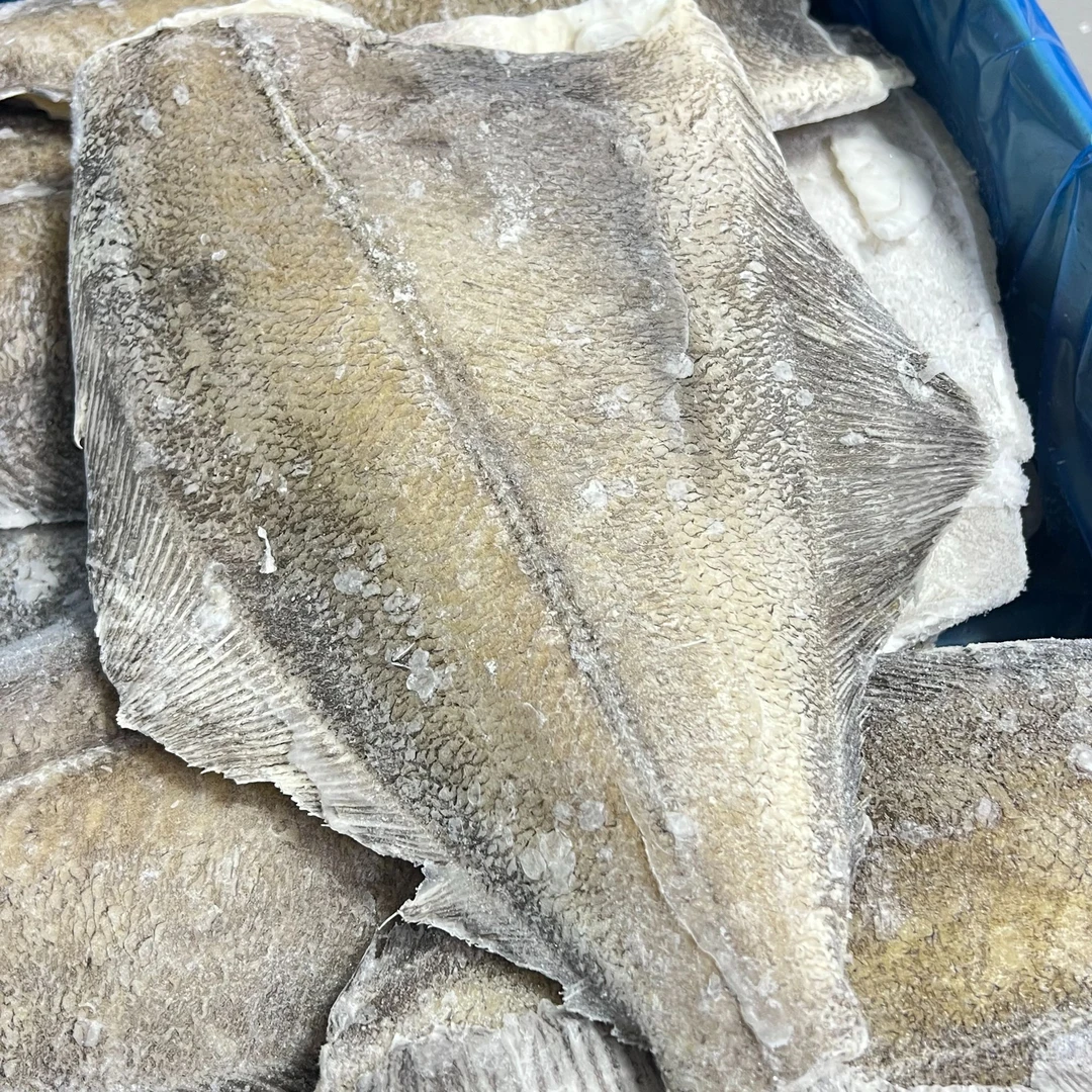 【2号】深海鲽鱼身 直播称重  现称现发