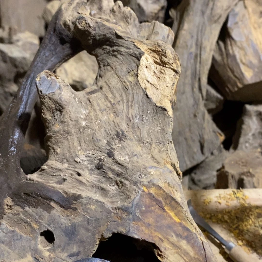 贡木把件爱****?11112112222111