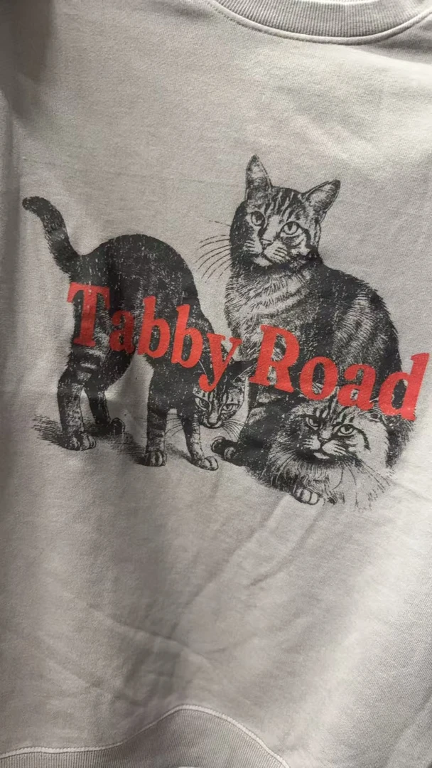 小猫 灰色卫衣女