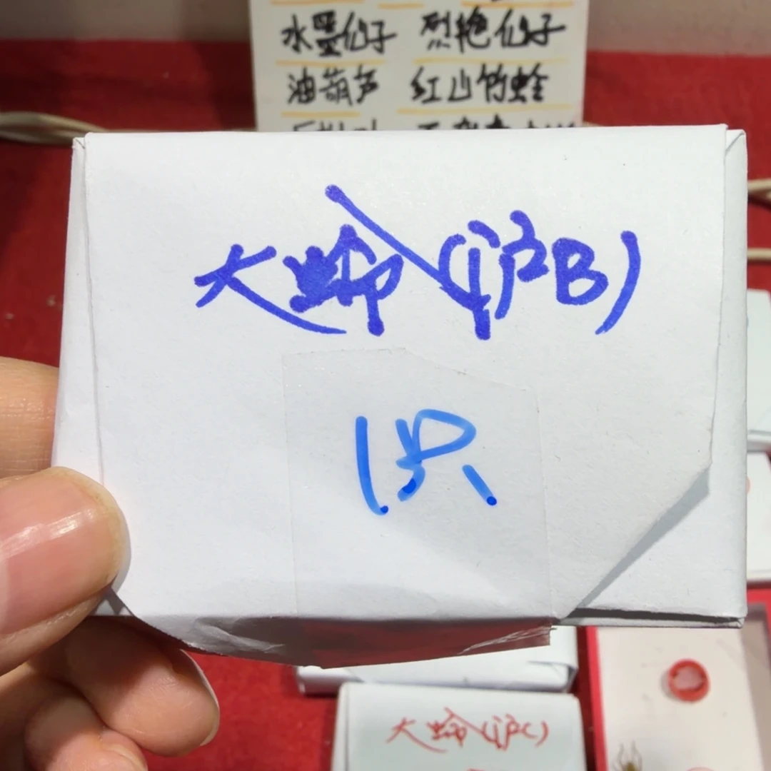 蟋蟀石老师沪B一条