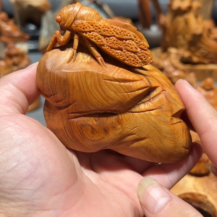 柏木（崖柏）点点关注