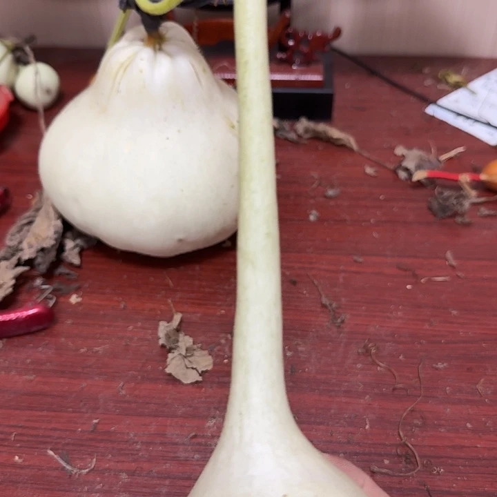 h***ㅤzxvbgrrdffghhnmjhgg