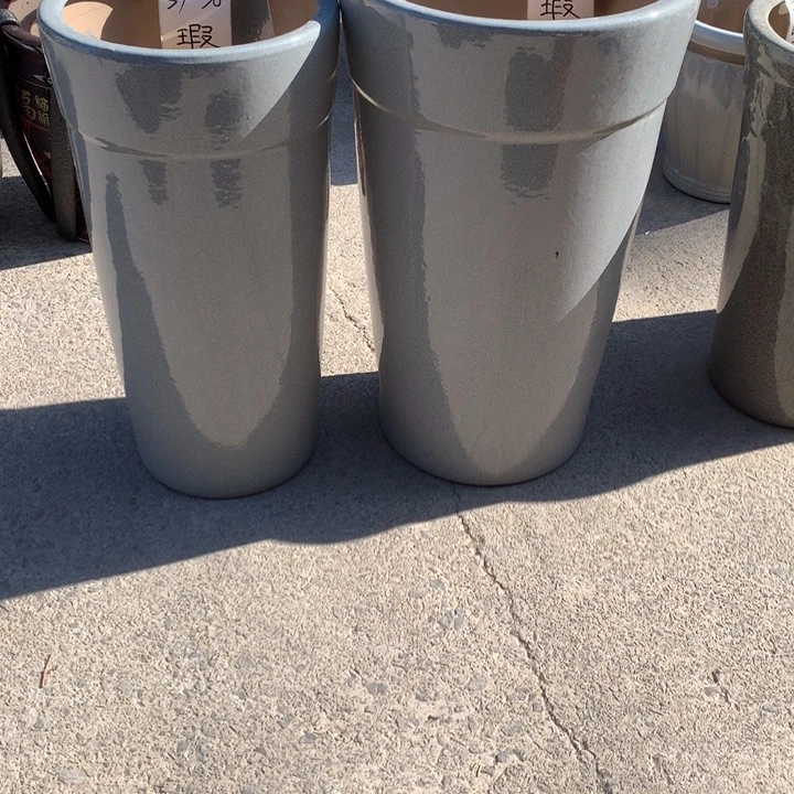 花盆里的小猫咪们都好可爱呀哈哈好可爱啊哈哈