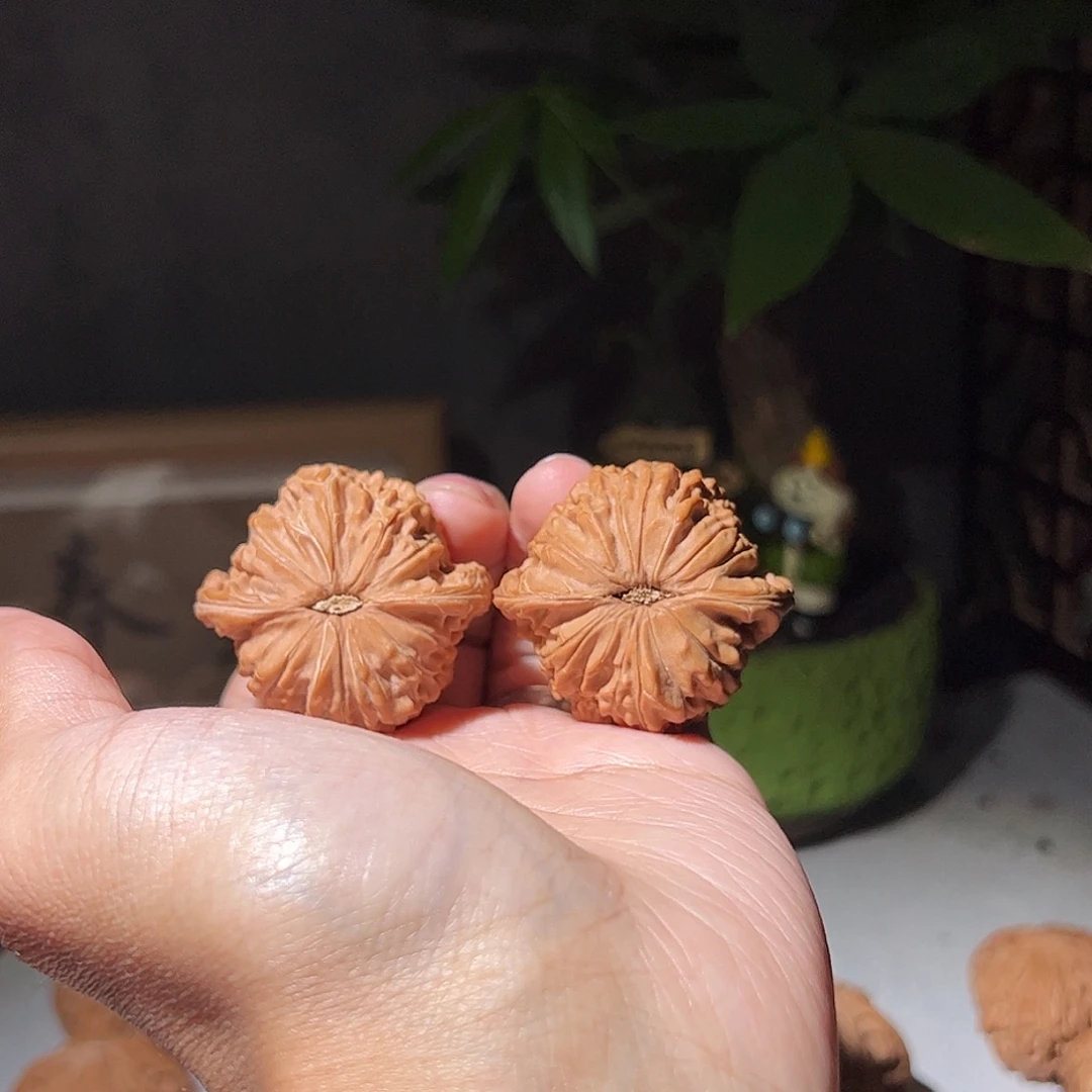 太***吧核桃39.7房山一代山地磨全品