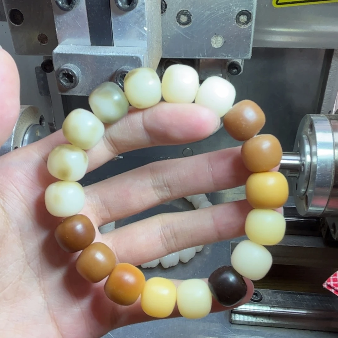 吊坠菩提根/象牙果