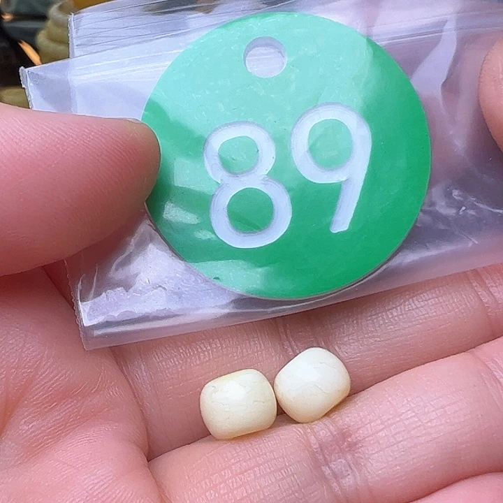 蜜蜡裸石未镶嵌8.3m m