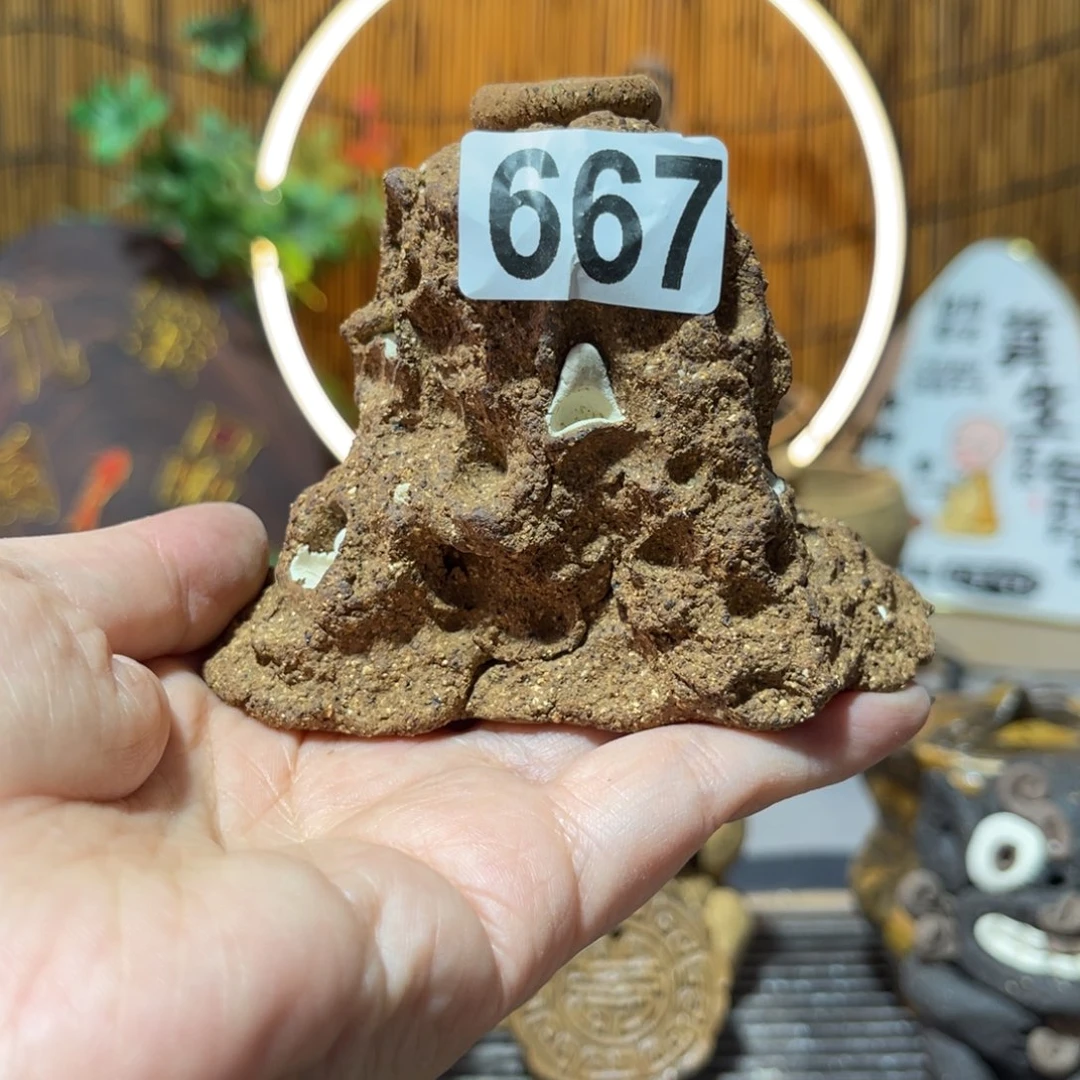 木村信弘柴烧保平