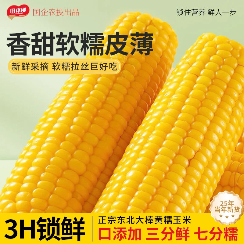 东北黄糯玉米25年新玉米真空包装健康粗粮粘玉米主食代餐
