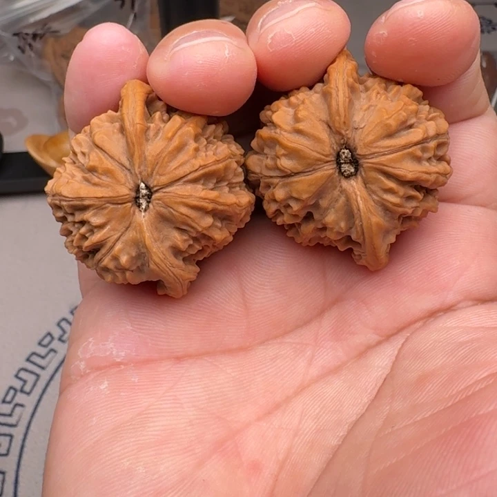 把件桃核野生果39尺6