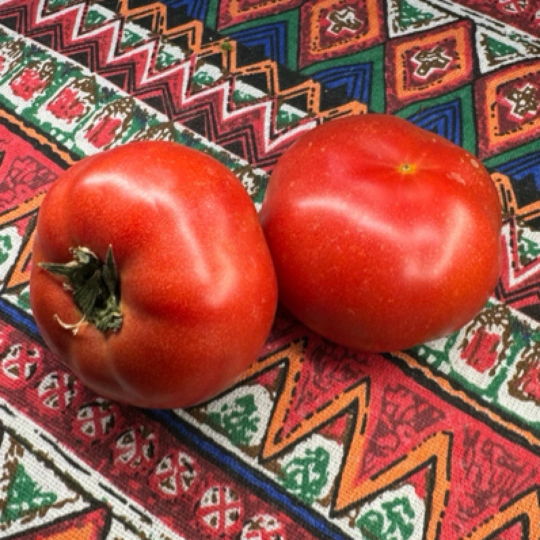 新鲜采摘自然成熟味浓汁多大番茄（四种混搭）