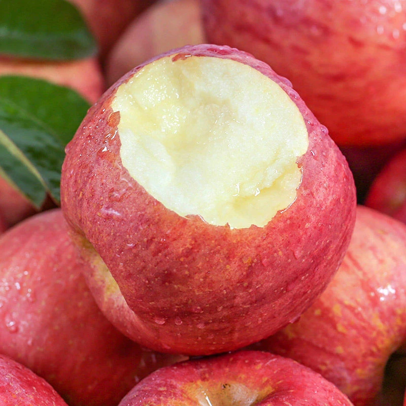 【烟台红富士】新鲜头茬红富士苹果新鲜脆甜多汁产地直发当季水果