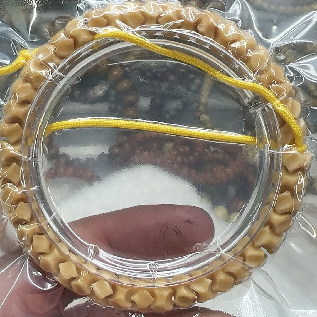 星月菩提手串14骑士龙脊菩提龙骨单圈0.8