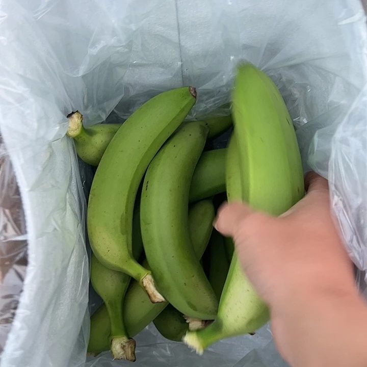 丑蕉丑香蕉，5斤散装