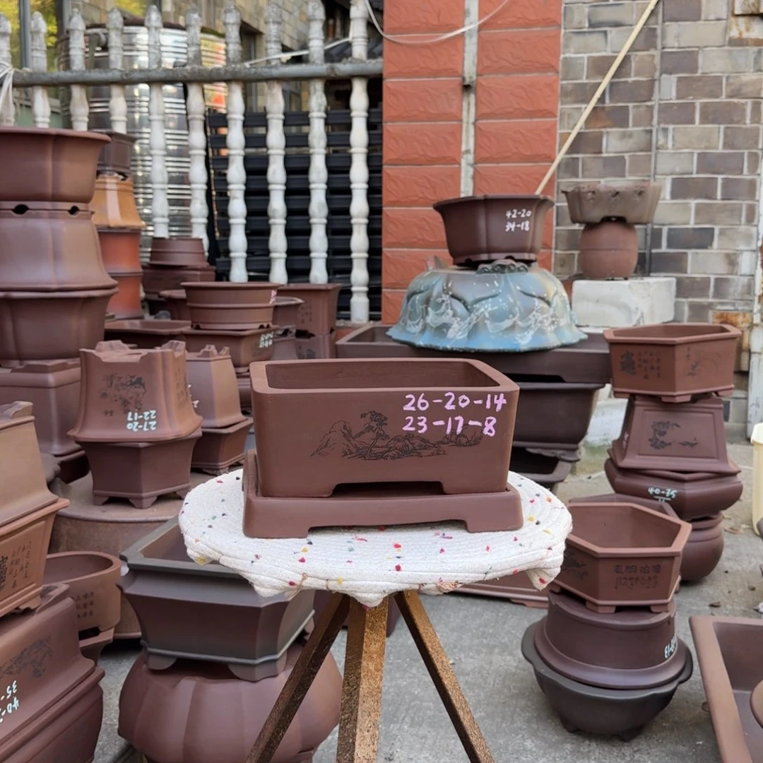 紫砂花盆紫砂花盆