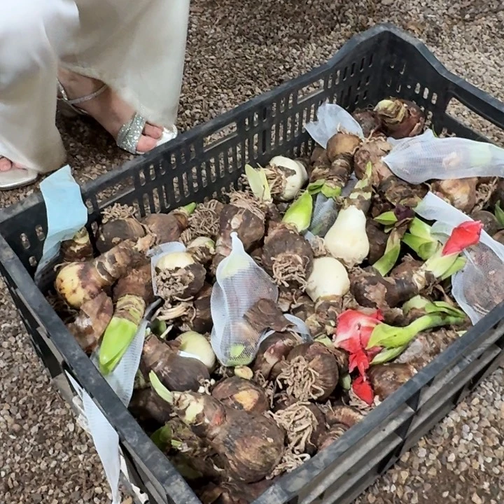 圣诞快乐直径5cm残次福利无售后