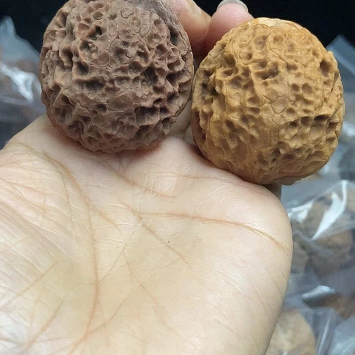 木质类云南铁核桃基地97
