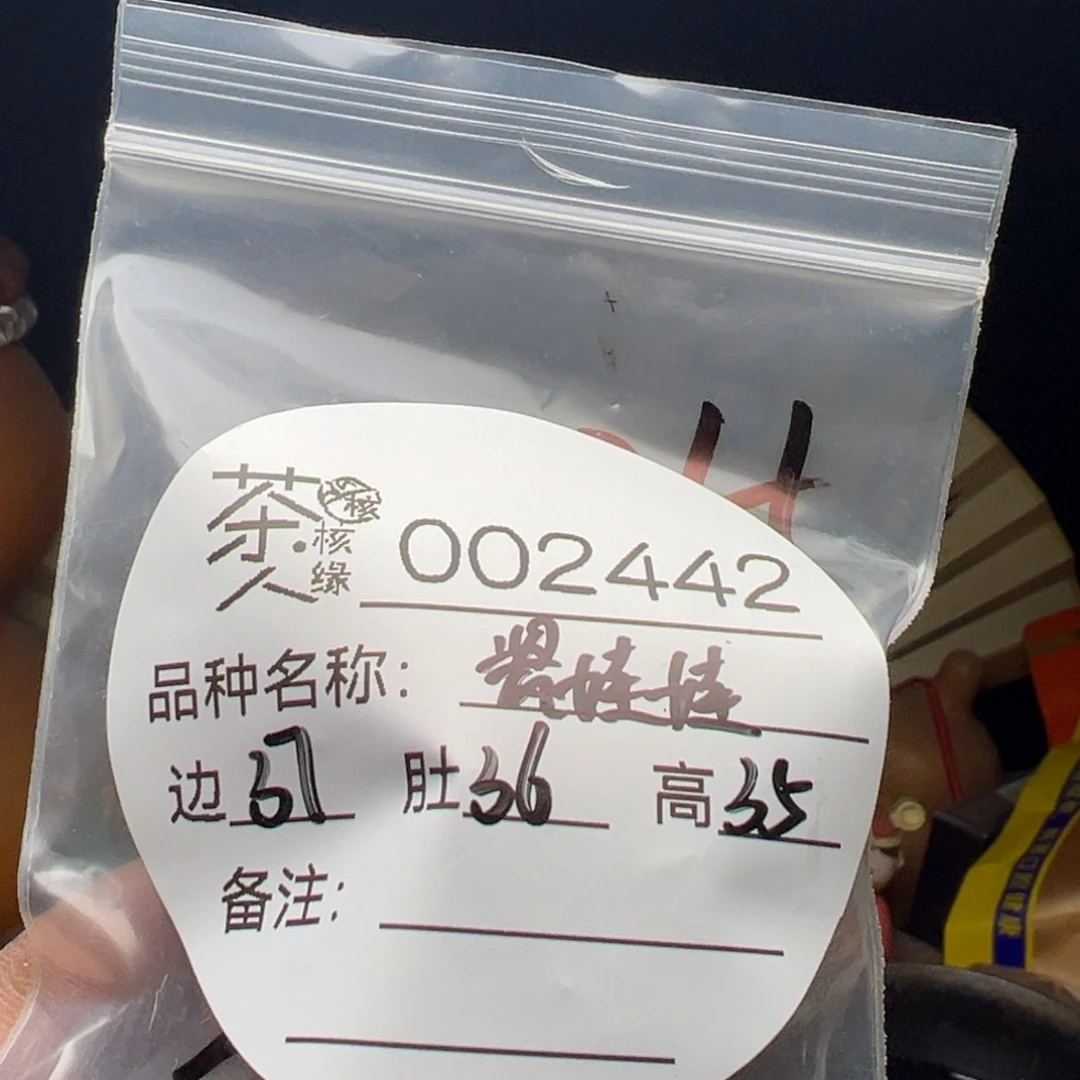 吊坠文玩核桃今天