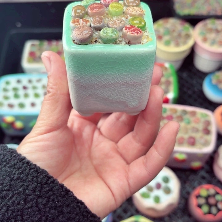 330零下地区记得拍保温箱满18包邮