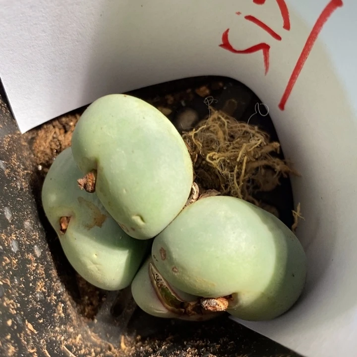 不****！5132一个一个一个