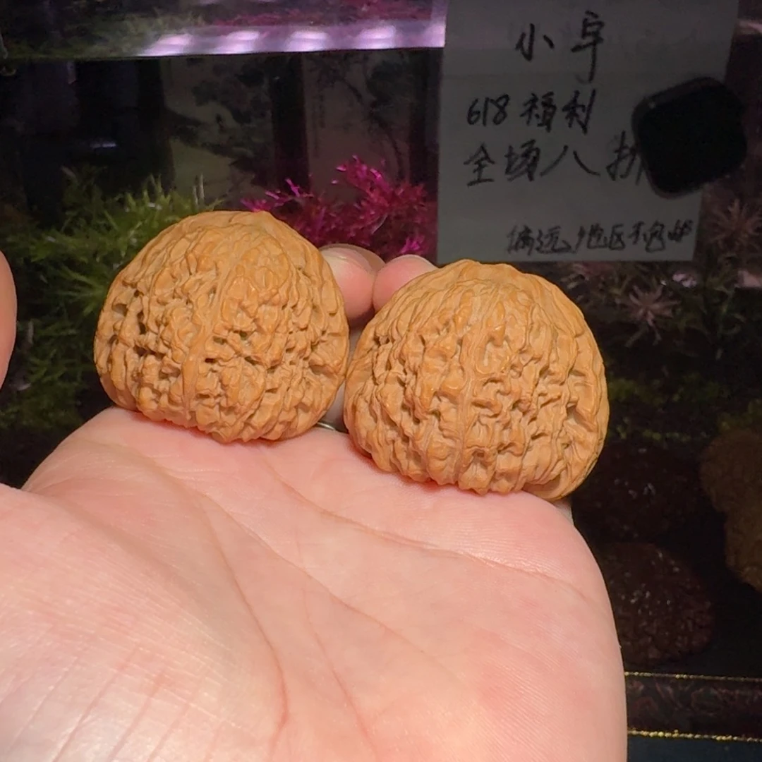 1726号41南疆石南疆石南疆石