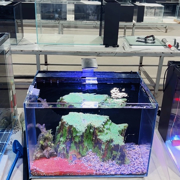 翟***华玻璃50、35背滤经典款全套